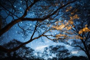Twinkling Stars Tree Branches