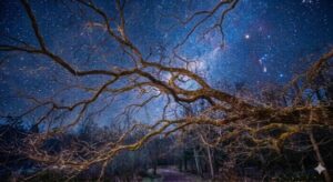 Beyond the Night Horizon